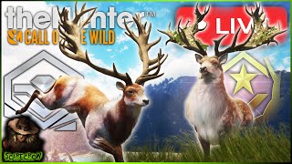 Have We Perfected Herd Management Diamond Red Deer Every 10 kills Call of the wild LIVE 🔴🔴 [upl. by Gardol]