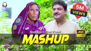 Pashto New Mashup Song  Zarsanga amp Wisal Khayal  HD Full Video [upl. by Flanagan]