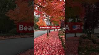 Beautiful USA 🇺🇸 indian [upl. by Laney]