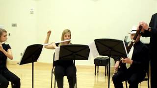 Trio for Two Flutes Tambourine and Tuba Bassoon [upl. by Enimasaj43]