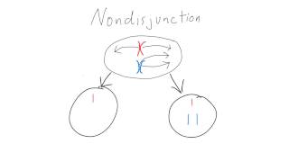 What is Nondisjunction [upl. by Acsicnarf130]