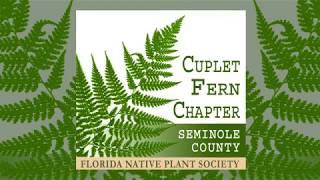 Welcome to Cuplet Fern a chapter of the Florida Native Plant Society [upl. by Aeiram]