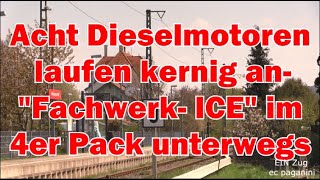 Acht Dieselmotoren laufen sehr kernig an quotFachwerk ICEquot im 4er Pack unterwegs auf der Ammertalbahn [upl. by Stace]