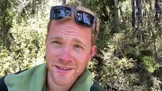 Trek to Speargrass Hut Nelson Lakes National Park [upl. by Onia]