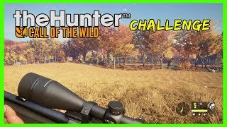 Anschleichen wie ein Pro 👑 Hirschfelden 10 👑 The Hunter Call of the Wild [upl. by Brande759]