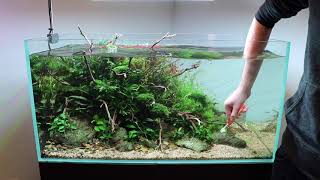 Aquascape Maintenance in Aquarium Gardens Showroom [upl. by Occer994]