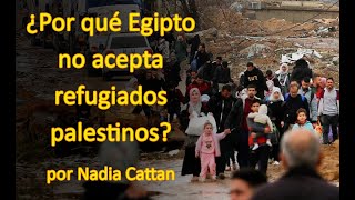 ¿POR QUÉ EGIPTO NO ACEPTA REFUGIADOS PALESTINOS POR NADIA CATTAN [upl. by Ecikram]