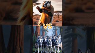 Honey Badger VS all predators  Who is the winner here  😵💪🏼 ai animals shorts viralvideo [upl. by Aem]