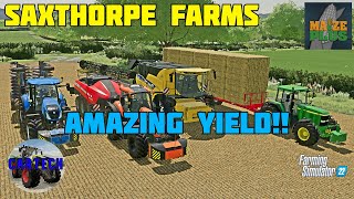 AMAZING YIELD  SAXTHORPE FARMS  Ep 19  FS22 [upl. by Derriey536]