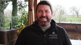 Sullivan Rutherford Estate Jeff Cole Winemaker Vino Lingo Video [upl. by Nahsad94]