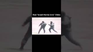 Real quotIsraeli Martial Artsquot Video ipmanmmaufcboxingbjjselfdefensekravmagakravmaga [upl. by Ahcmis]