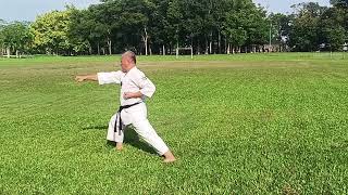 Taikyuko Sandan  Shotokan Kata With Slow Demo  highlights [upl. by Bozovich]