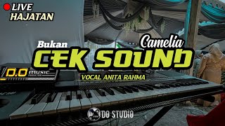 CAMELIATunggal LIVE Hajatan Vocal Anita RahmaDOmusic [upl. by Copp666]