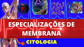 ESPECIALIZAÇÕES DE MEMBRANA PLASMÁTICA  CITOLOGIA  ENSINO SUPERIOR  MEMBRANA PLASMÁTICA [upl. by Aihsilef297]