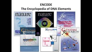 Gene Regulation and Motif Analysis [upl. by Ylus]