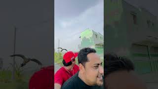 Kejar Altan Go fypyoutube freefly parrot parrotlover pets fypシ゚viral viralvideo shorts [upl. by Feldt]