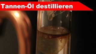 🌷 TannenNadeln destillieren 🌻  ätherisches Öl selber machen  diSTILLed [upl. by Christos171]