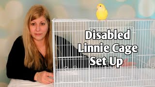 Cage set up for a senior disabled small parrot [upl. by Chan]