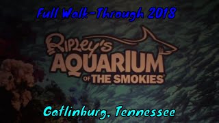 Ripley’s Aquarium of the Smokies in Gatlinburg TN [upl. by Placido]