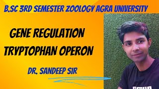 Tryptophan Operon  Bsc 3rd sem zoology Regulation of gene expression in prokaryotes [upl. by Karlene]