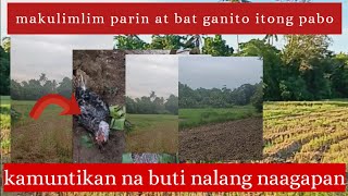 kamuntik ng makalimotanmagpakain ng alaga hapon na pala [upl. by Lennaj]