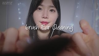 ASMR 브러시 소리 amp 카메라 터칭  Ear cleaning  brush ASMR  耳掃除asmr [upl. by Pritchett]