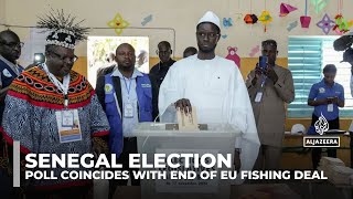 Senegal parliamentary election Snap poll coincides with end of EU fishing deal [upl. by Lewie21]