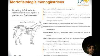 Sustentación Monogastricos [upl. by Ahsilad]