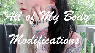 All Of My Body Modifications Tattoos Piercings etc 2014 [upl. by Ylam10]