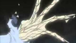 Darcia AMV The Bird and The Worm [upl. by Enileve]