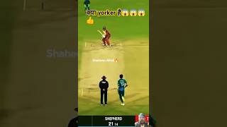 shaheen afridi ki yorker केसी है😱😱🤔 shaheenafridi shaheenshahafridi shaheenbowling shaheenyorker [upl. by Shriver795]