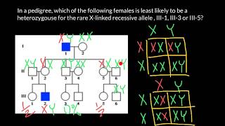 How Xlinked recessive genetic disorder inherited [upl. by Tomasine]