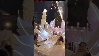 Royal couple entry shahi wedding ceremony Best wedding entry Vishwas Events Nagpur bridal entry [upl. by Jardena444]