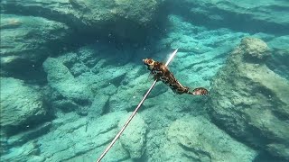 20112022 ZIPKINLA SOKAN SOKAR AVI SIGANUS RIVULATUS κουρκούνες IZGARO ISKAROZ SPEARFISHING [upl. by Ursula]