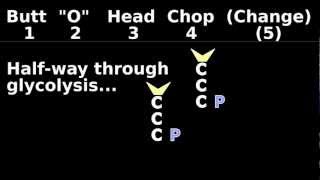 Glycolysis Mnemonic Animation 25 Easy Biochemistry Introduction Tutorial [upl. by Rizzo]