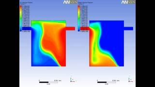 Tank Filling By Two FluidsAnsys Fluent [upl. by Afnin78]