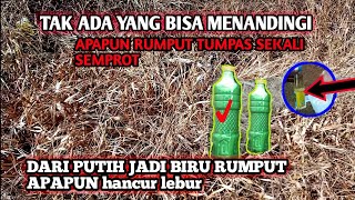 cukup 1 botol kecil ll 1 hektar Rumput hancur lebur tidak tersisa sampai benihnya cuma modal ini [upl. by Seyer]