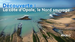 Découverte  la côte dOpale le Nord sauvage [upl. by Nivlam290]