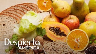 Alimentos ricos en fibra que limpian el corazón páncreas y colon [upl. by Adey418]