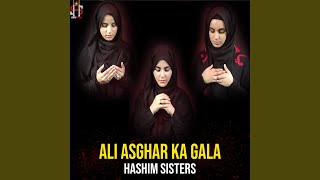 Ali Asghar Ka Gala [upl. by Ralat]