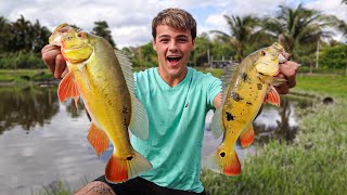 CATCHING COLORFUL FISH on LIVE Bait for My BackYard POND [upl. by Ellessig]