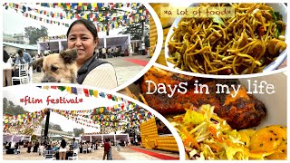 Days in my life with family  a lot food tibetan mukbang food fundayout [upl. by Pelaga]