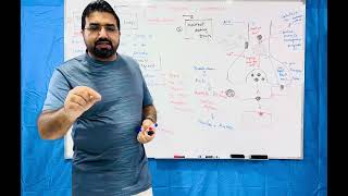 Cholinergic Agonist and Antagonist  part 2 [upl. by Hamish16]