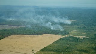 Tracking Amazon Deforestation [upl. by Ky]