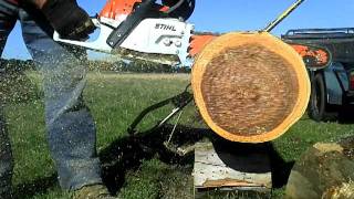 Stihl MS261 Muff Modd [upl. by Nailluj94]