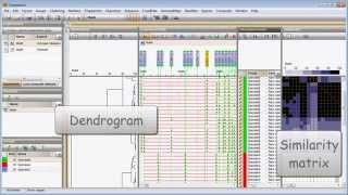 New in BioNumerics 7 Spectrum data import and analysis [upl. by Javler5]