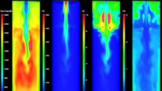 Gasifier  downdraft  coal  gaseous species [upl. by Flosser502]