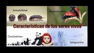 Características de los seres vivos [upl. by Katee903]