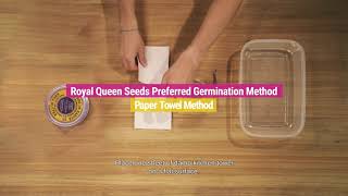 Germinating Paper Towel Method [upl. by Fritzsche]