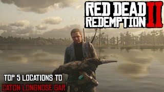 The Top 5 Locations To Catch Longnose Gar Red Dead Redemption 2 [upl. by Lochner]